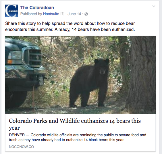 CO bears